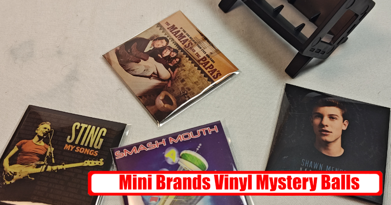 Featured image of post Mini Brands - Mystery Vinyl Records