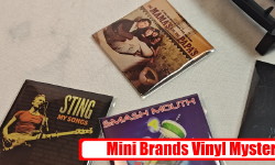 Featured image of post Mini Brands - Mystery Vinyl Records