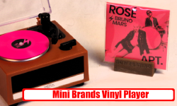 Featured image of post Mini Brands Vinyl Player