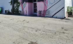 Featured image of post Mouth Mural Building, Decatur, Illinois
