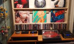 Featured image of post Project - Record Shelf