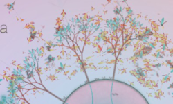 Featured image of post Review - Eufloria (PC)
