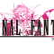 Review - Final Fantasy II (Dawn of Souls) (GBA)