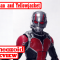Review – Marvel Legends – First Ten Years – Ant-Man (Ant-Man and Yellowjacket)