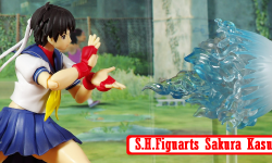 Featured image of post S.H. Figuarts - Sakura Kasugano