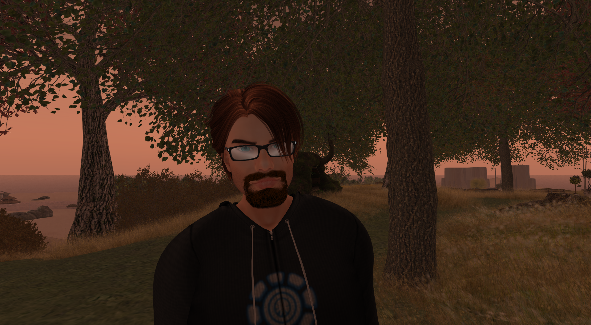 Second Life - The Hobby I Never Talk About