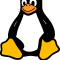 Twenty Five Some Odd Years of Linux Use