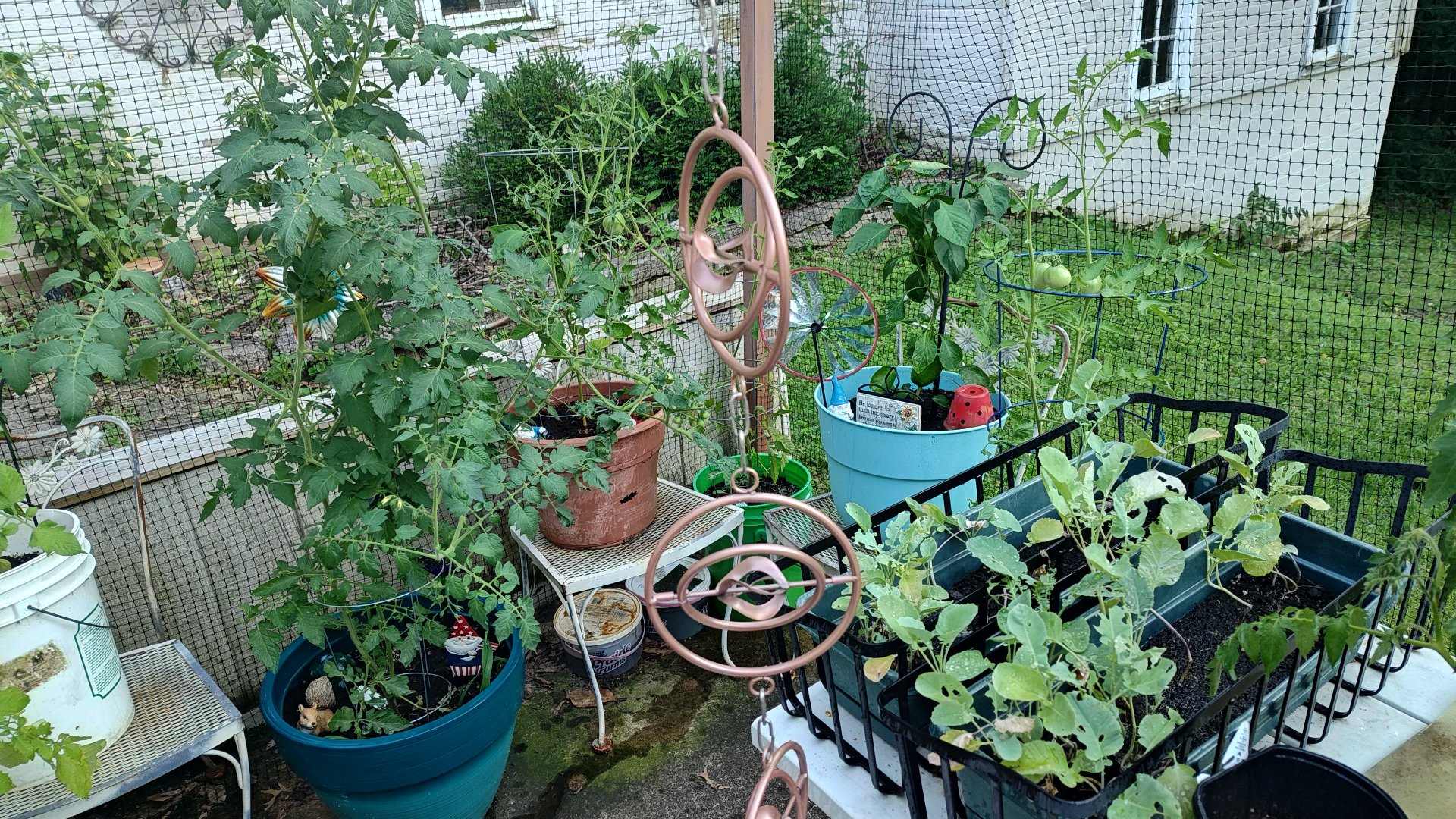 A small potted garden.